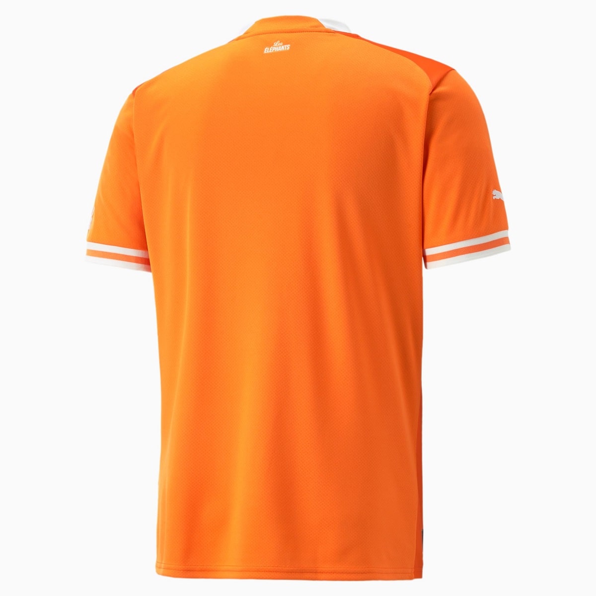 MAILLOT COTE D’IVOIRE DOMICILE 2022 2023 (3)