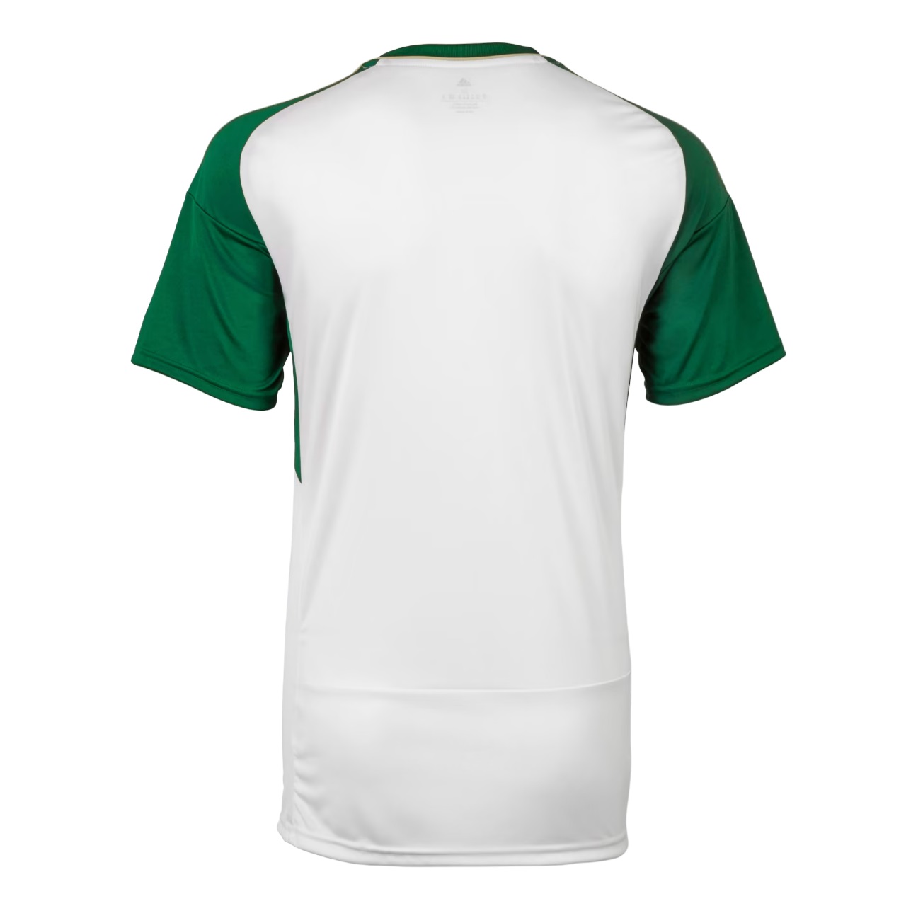 MAILLOT ARABIE SAOUDITE EXTERIEUR 2023 2024 (2)