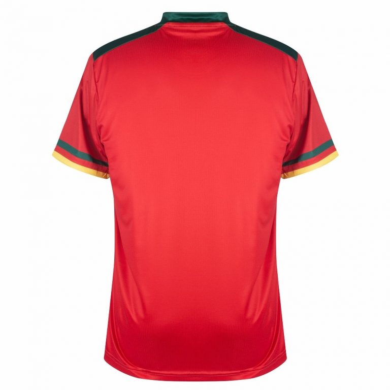 CAMEROON THIRD WORLD CUP JERSEY 2022 (2)