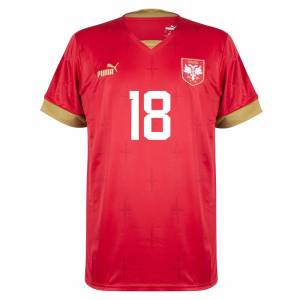 SERBIA HOME JERSEY WORLD CUP 2022 VLAHOVIC (3)