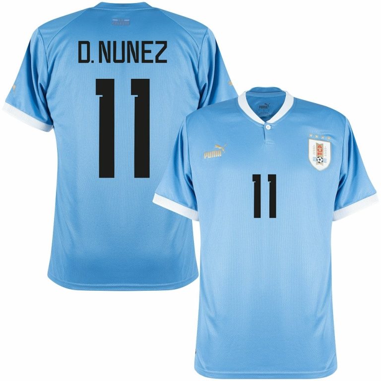 MAILLOT URUGUAY DOMICILE 2023 2024 D.NUNEZ (1)