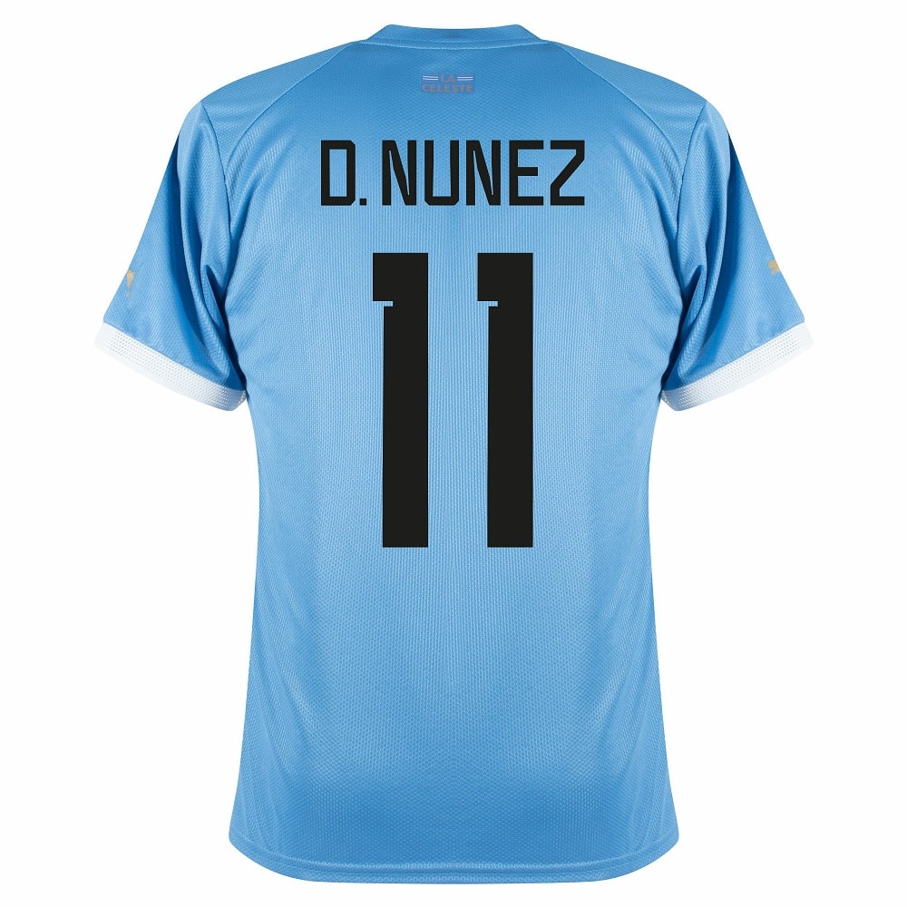 MAILLOT URUGUAY DOMICILE 2023 2024 D.NUNEZ (2)