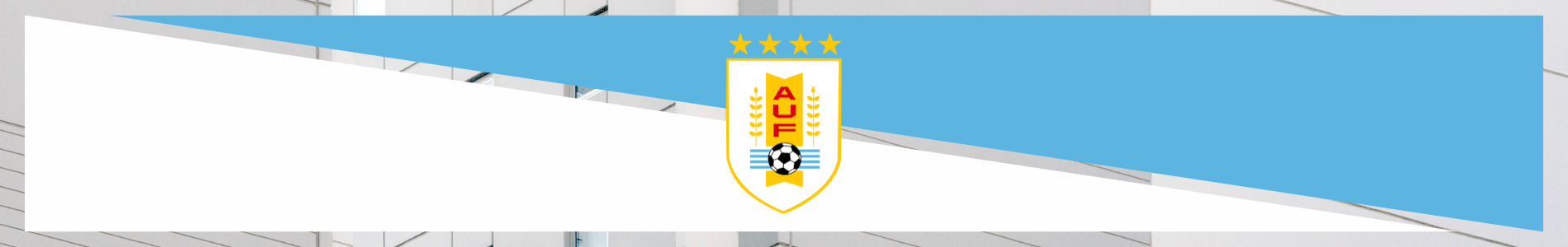 Uruguay soccer jersey