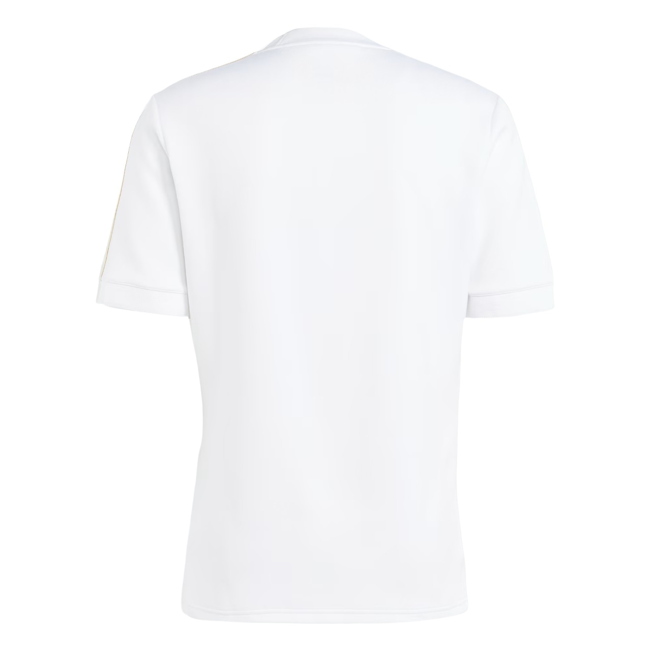 MAILLOT ITALIE 125 ANS EDITION SPECIALE (2)