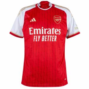 Arsenal jersey 2023 2024 Legend Edition Bergkamp (2)