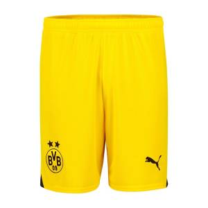 Short BVB Dortmund Exterieur 2023 2024 Jaune (1)