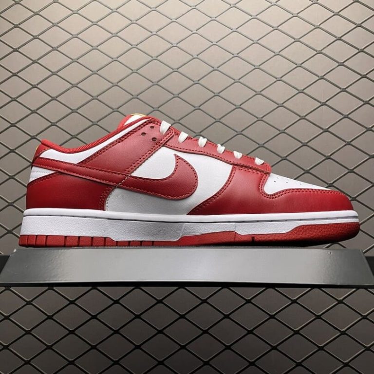 Dunk Low USC (5)