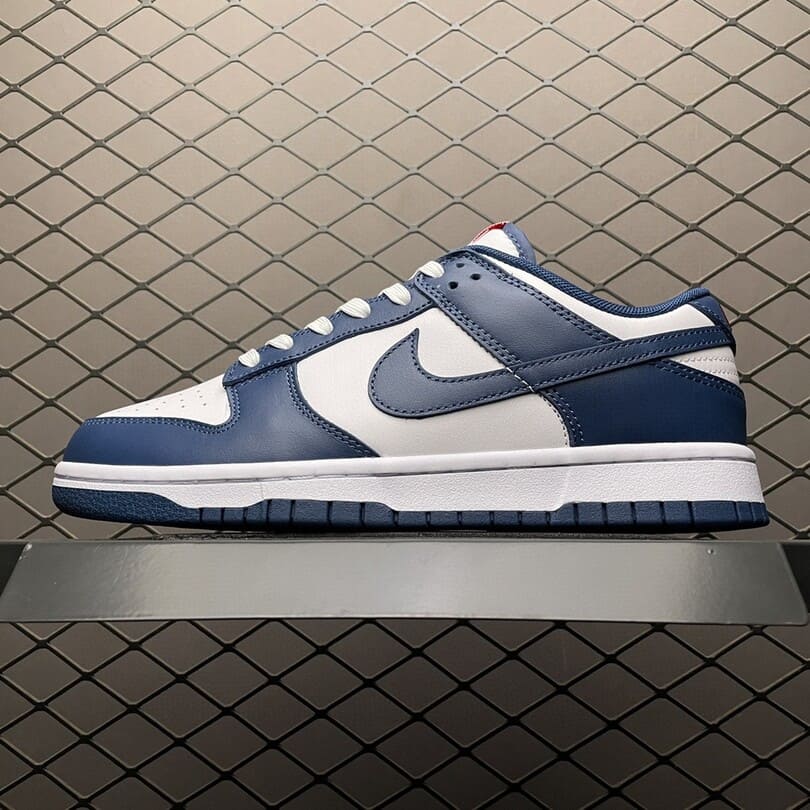 Dunk Low Valerian Blue (1)