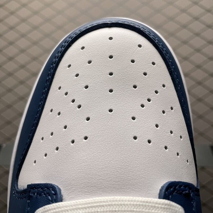 Dunk Low Valerian Blue (4)