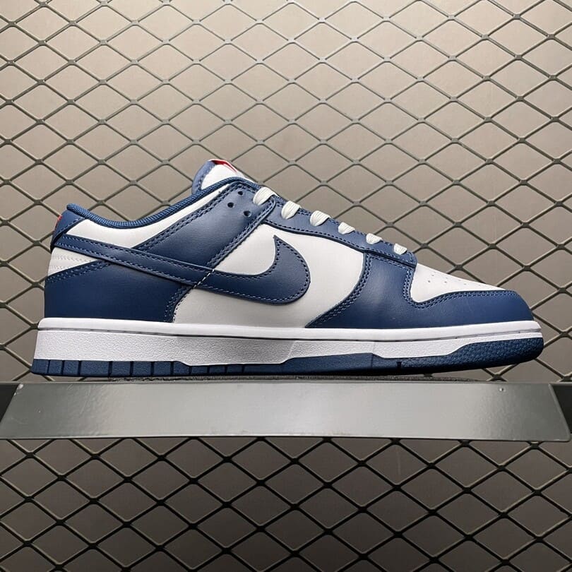 Dunk Low Valerian Blue (5)