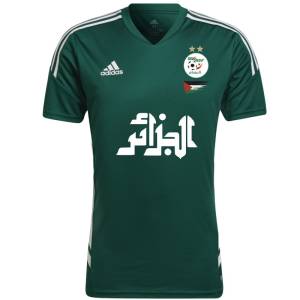 Maillot Algerie Palestine 2023 Vert (1)