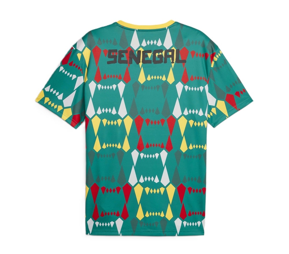 Maillot Senegal Can 2024 Football Culture (2)