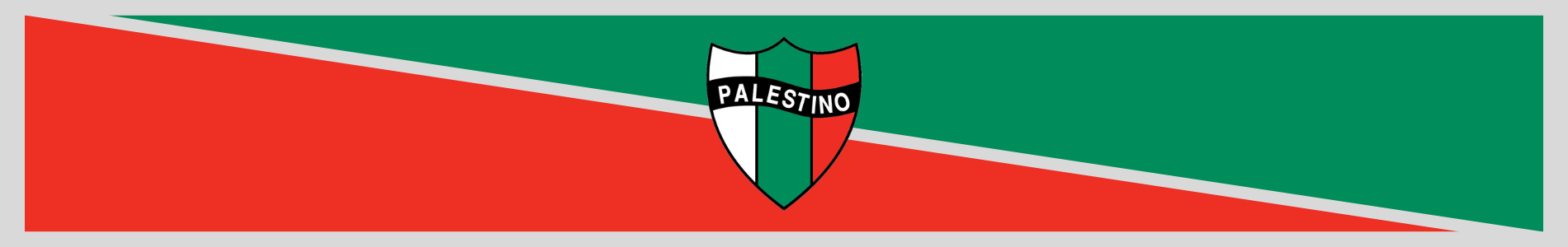 camiseta de fútbol palestina