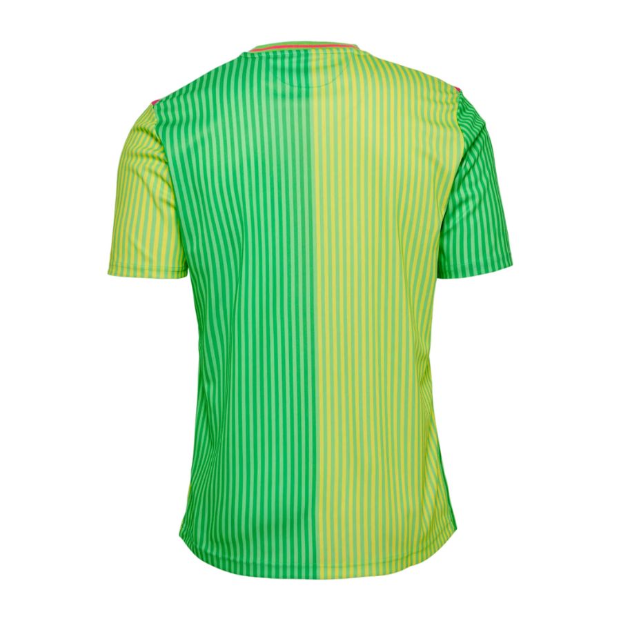 Maillot Malaga Exterieur 2023 2024 (2)