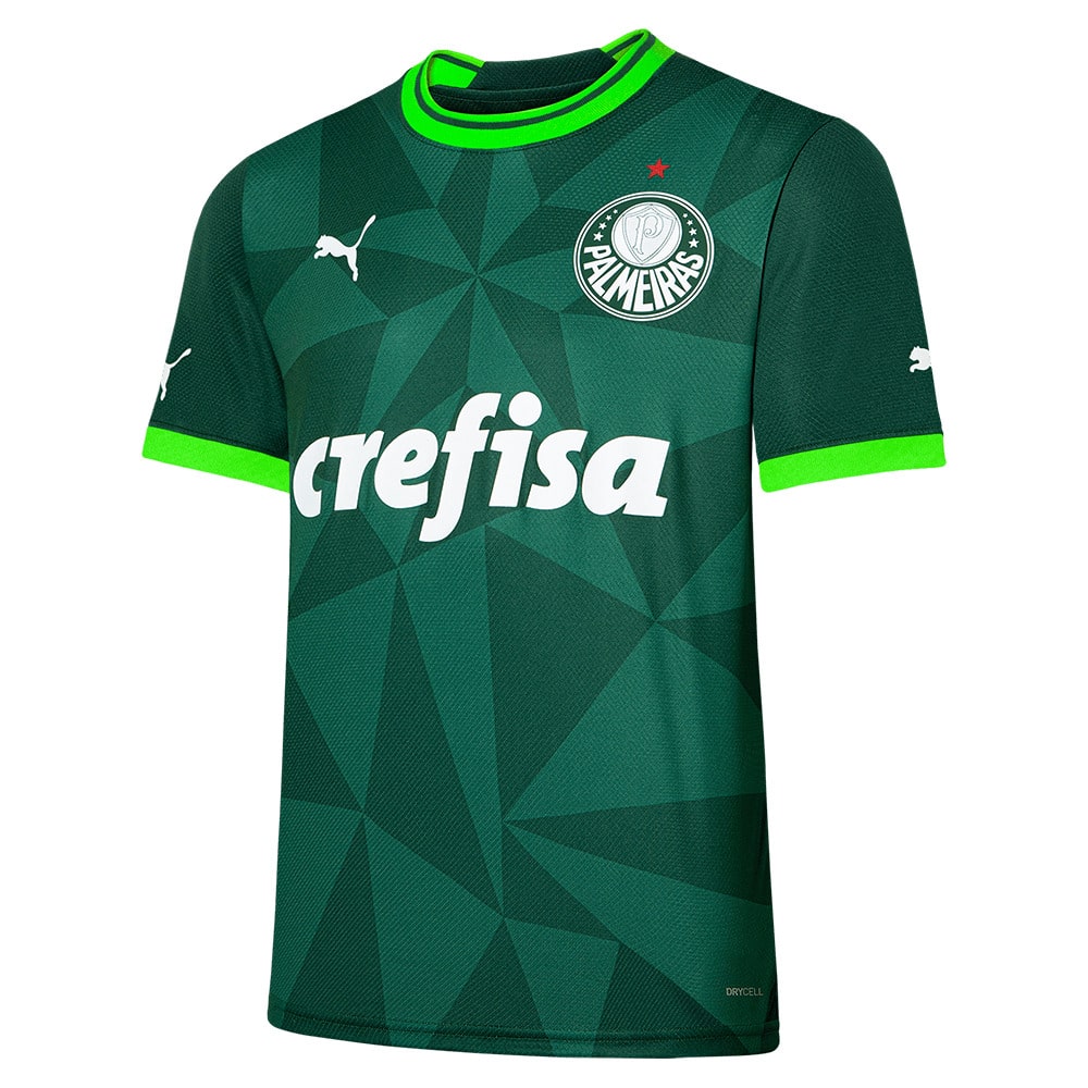 MAILLOT PALMEIRAS DOMICILE 2023 2024 (1)