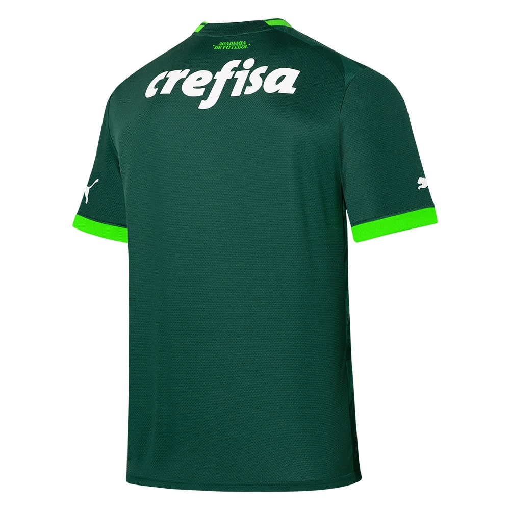 MAILLOT PALMEIRAS DOMICILE 2023 2024 (2)