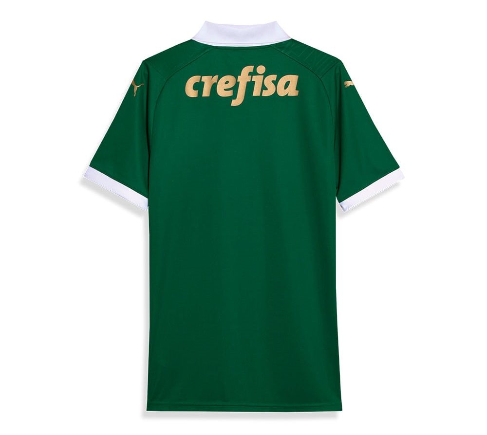 MAILLOT PALMEIRAS DOMICILE 2024 2025 (2)