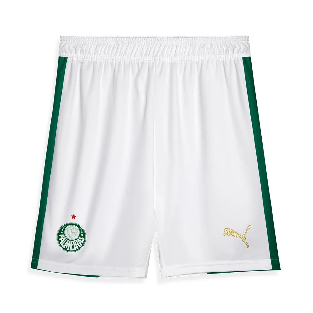 MAILLOT KIT ENFANT PALMEIRAS DOMICILE 2024 2025 (1)