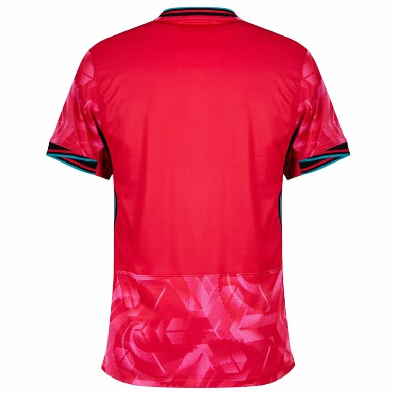 Maillot Corée du Sud Domicile 2024 2025 (2)