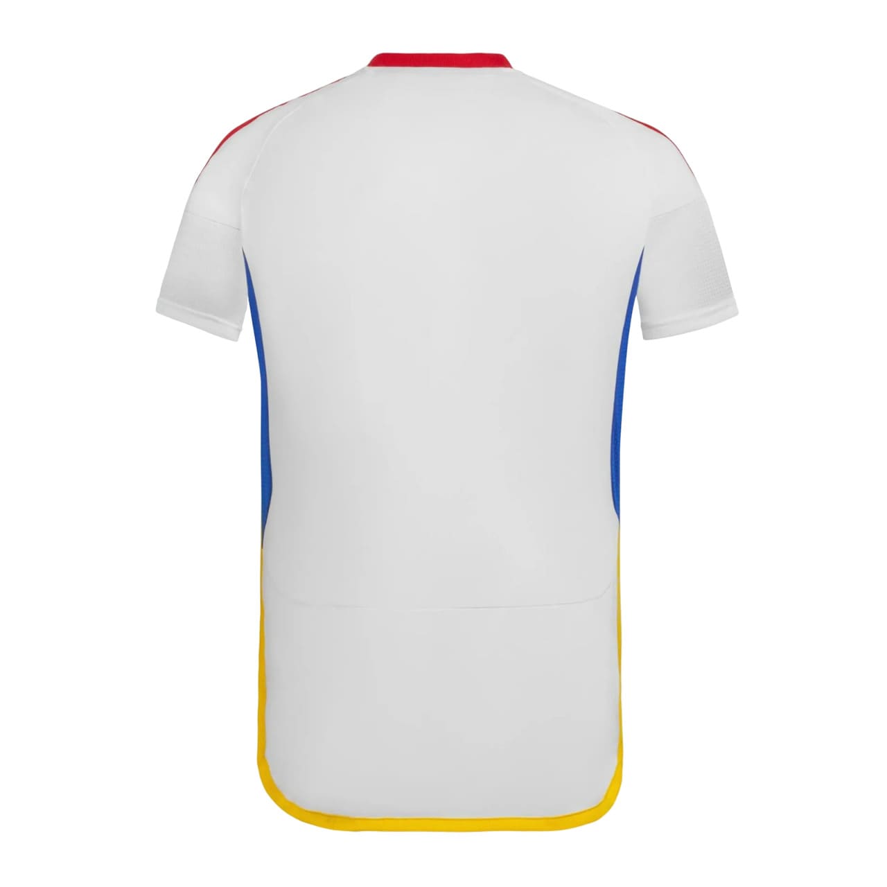Maillot Venezuela Exterieur 2024 2025 (2)