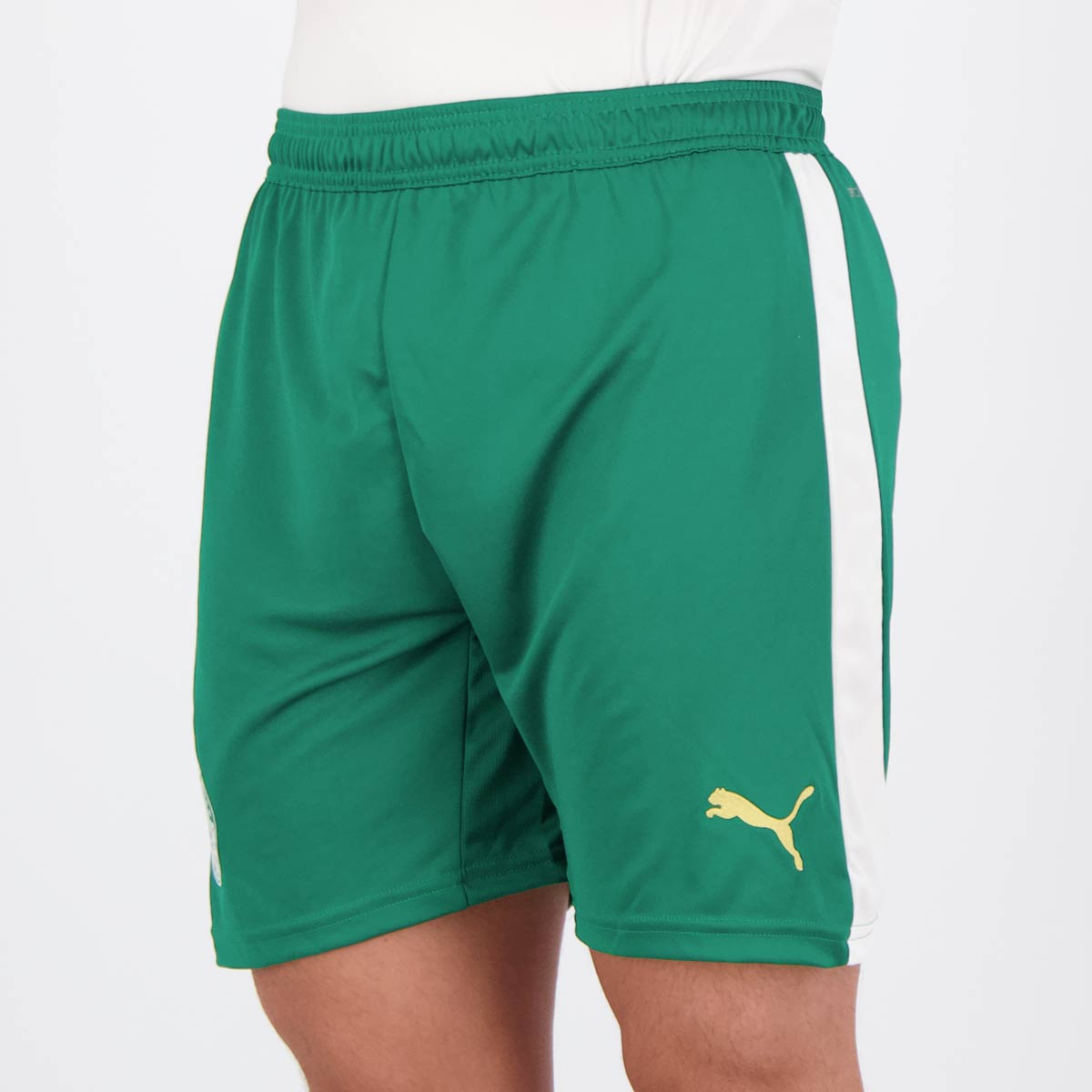 Short Palmeiras 2024 2025 Exterieur (2)
