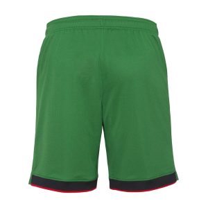 Portugal Home Shorts 2024 2025 (2)