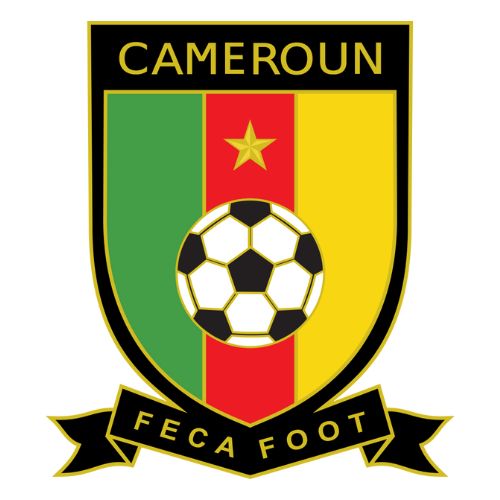 cameroon jersey 2024