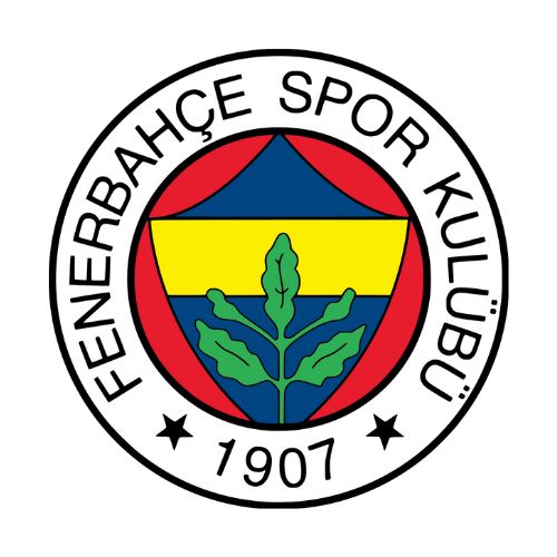 maillot fenerbahce 2024 2025