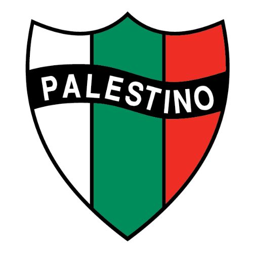 Palestine 2024 jersey