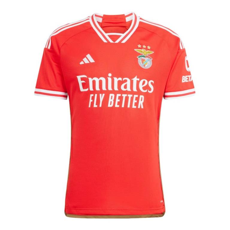 Maillot Benfica Domicile 2024 2025 OK 1