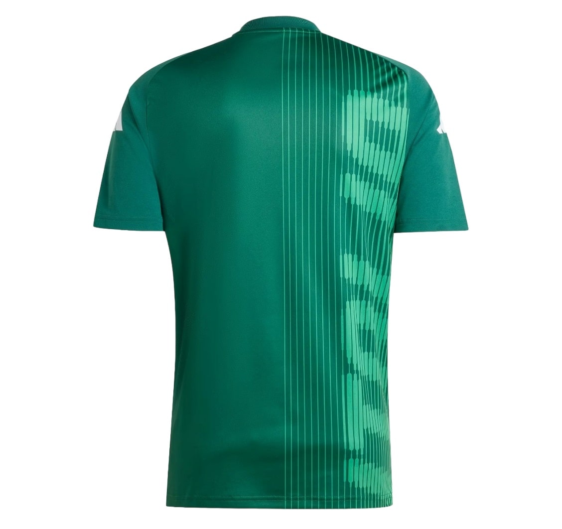 Maillot Italie Pre-Match 2024 2025 (2)