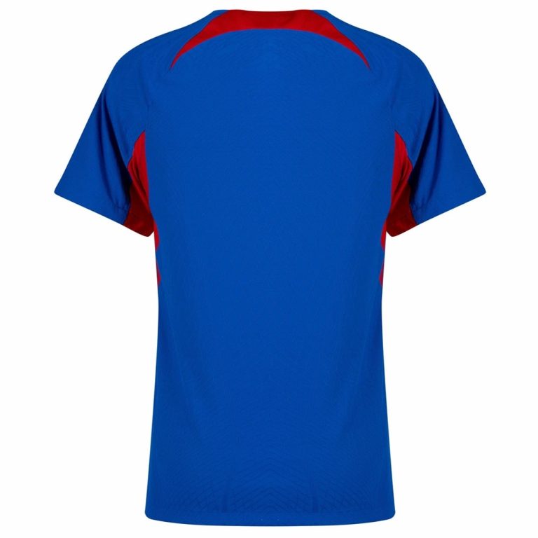 Maillot Slovaquie Domicile Euro 2024 (2)