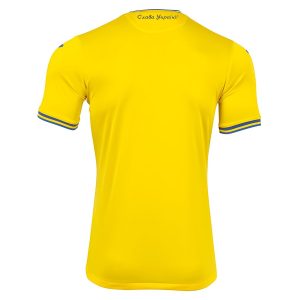 Maillot Ukraine Domicile Euro 2024 (2)