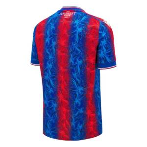 Maillot Crystal Palace Domicile 2024 2025 2-