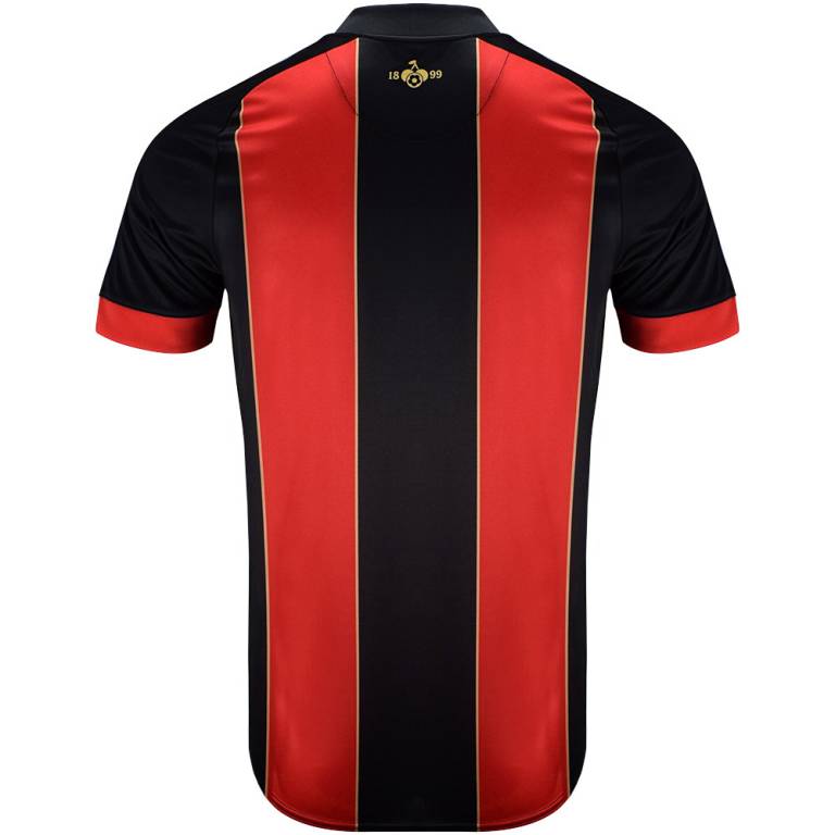 Maillot Bournemouth Domicile 2024 2025 2