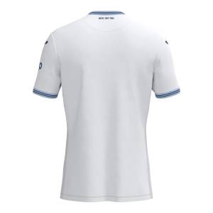 Maillot Hoffenheim Exterieur 2024 2025 2