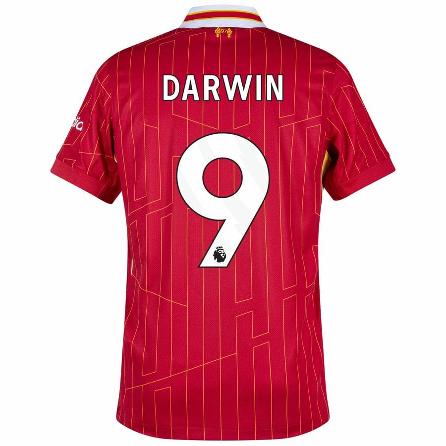 Maillot Liverpool Domicile 2024 2025 Darwin 2