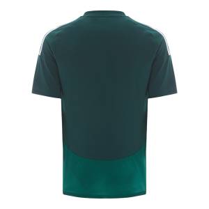 Maillot Al Ahli Saudi Exterieur 2024 2025 2