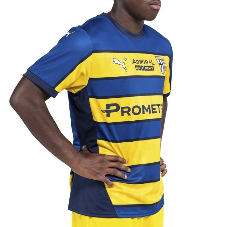 Maillot Parme Exterieur 2024 2025 (4)