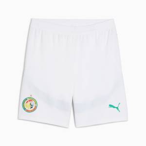 Maillot Kit Enfant Senegal Domicile 2024 2025 (3)