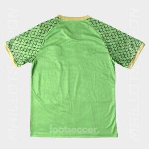 Maillot Japon Dragon Ball Goku Super Saiyan Shenron Vert (2)