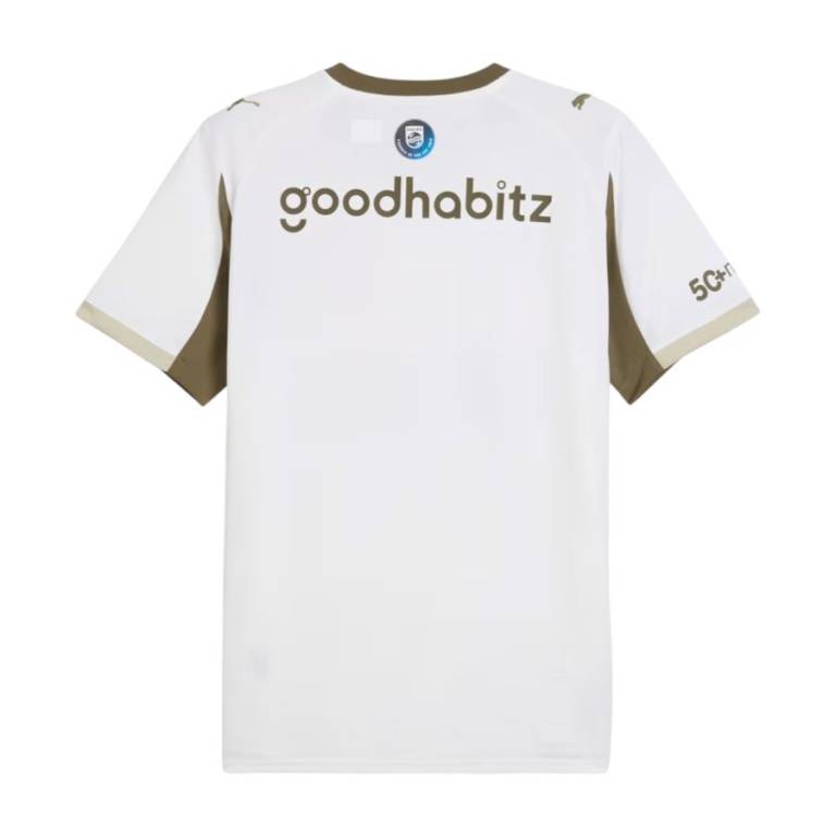 Maillot PSV Eindhoven Third 2025 2026 (2)