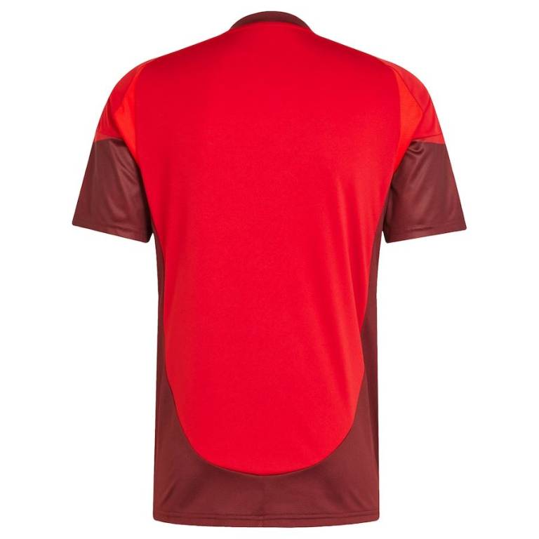Maillot Toronto Domicile 2025 2026 (2)