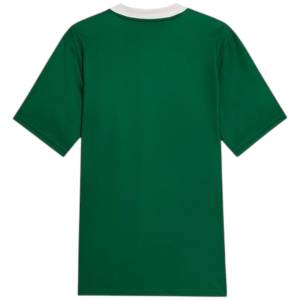 Maillot Match Palmeiras Domicile 2025 2026 (2)
