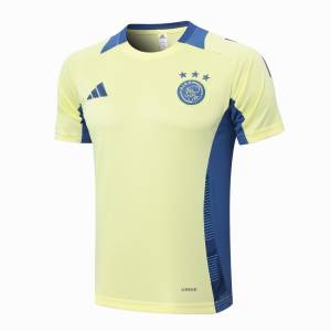 Survetement-Ajax-Polo-2024-2025-Jaune-Clair-2.jpg
