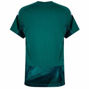 Maillot Allemagne Domicile 2026 2027 Gardien (2)