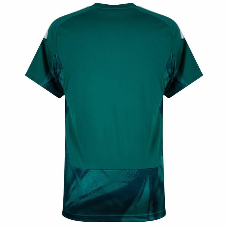 Maillot Allemagne Domicile 2026 2027 Gardien (2)