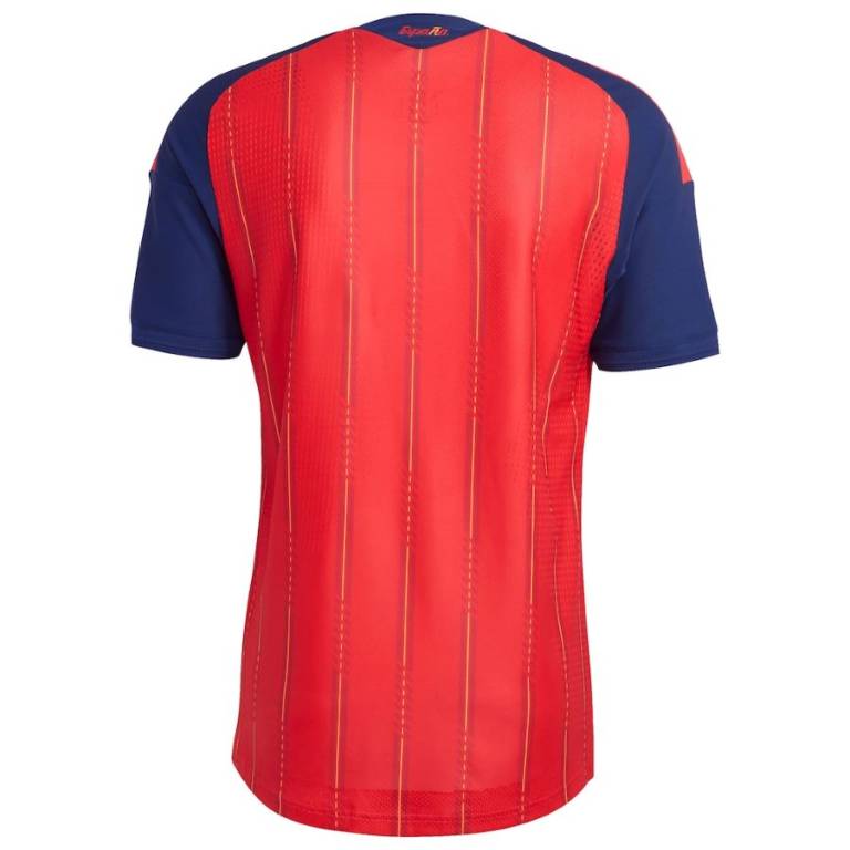 Maillot Match Espagne Domicile 2025 2026 (2)