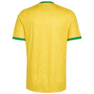 Maillot Afrique du Sud Domicile 2026 2027 (2)
