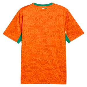 Maillot Cote d’Ivoire Domicile 2026 2027 (4)